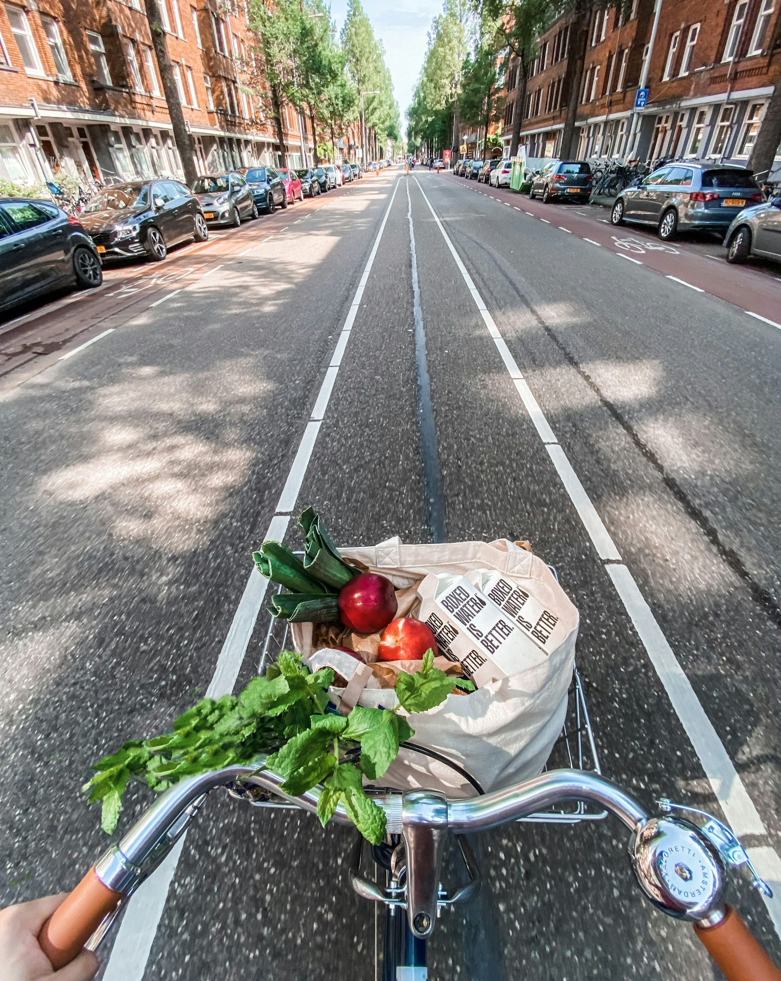 Manubrio di bicicletta con cesta della spesa in una strada olandese